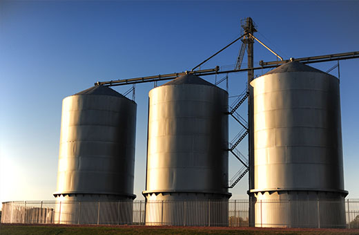Silos para alimentación propia