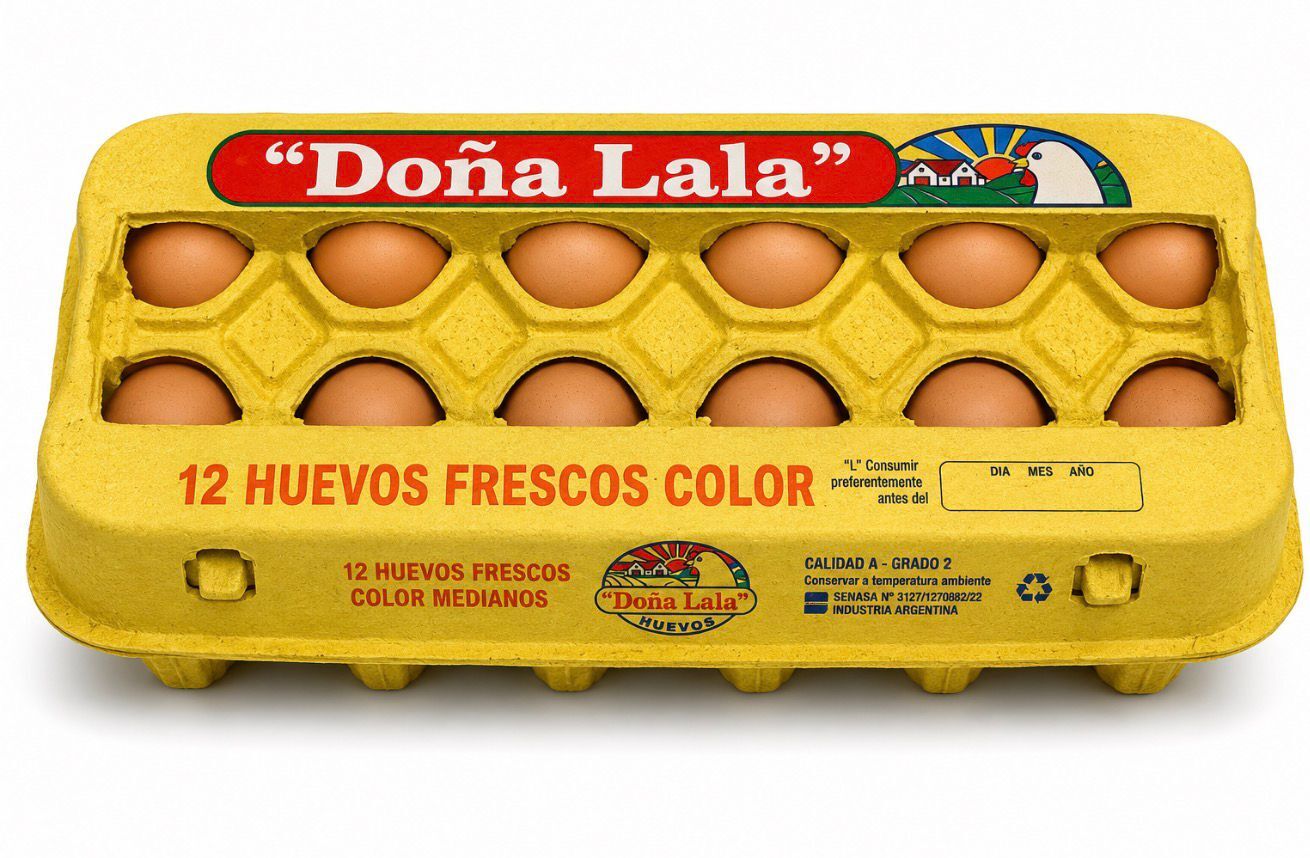 12 Huevos Color